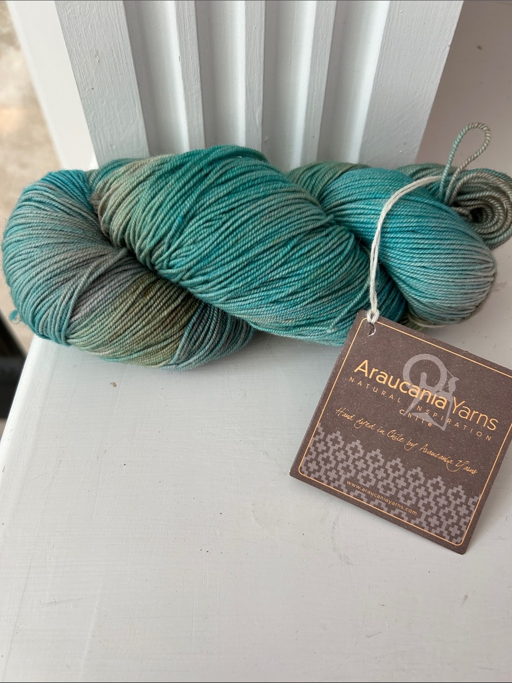 Araucania Yarns Hand-Dyed Merino Yarn Skein from Chile